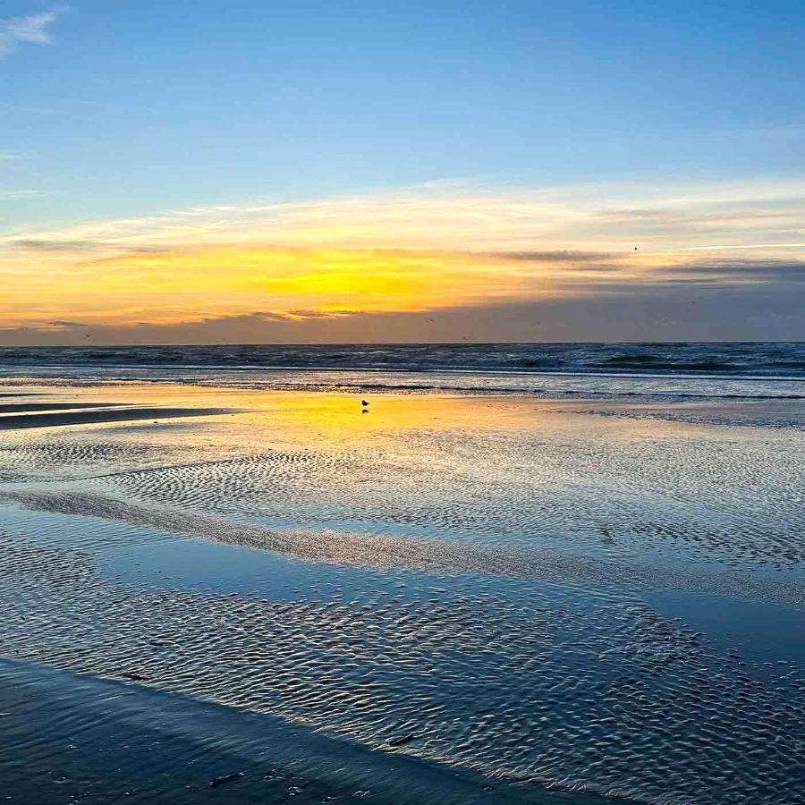Le Pouget , Studio, Rez De Chaussee, Front De Mer Wifi Le Touquet Exterior foto